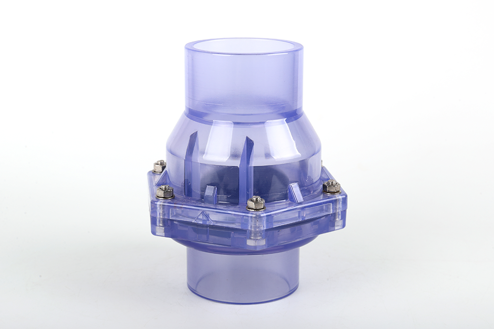 武邑透明翻板式止回阀